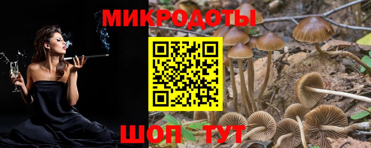 Галлюциногенные грибы MAGIC MUSHROOMS  Вход с VPN  наркота  Биробиджан 