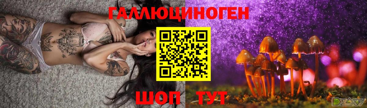 Галлюциногенные грибы мицелий Биробиджан