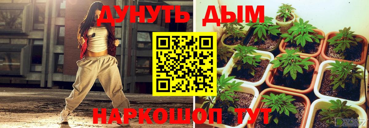 Шишки марихуана семена Биробиджан